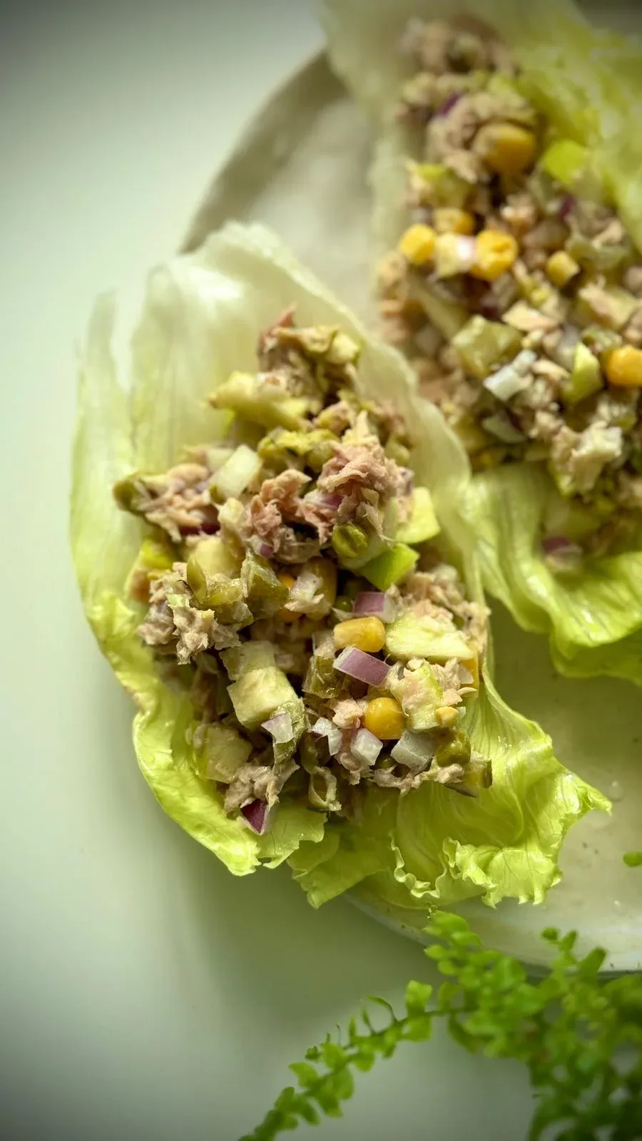 Crunchy-Goodness-Tuna-Salad.webp
