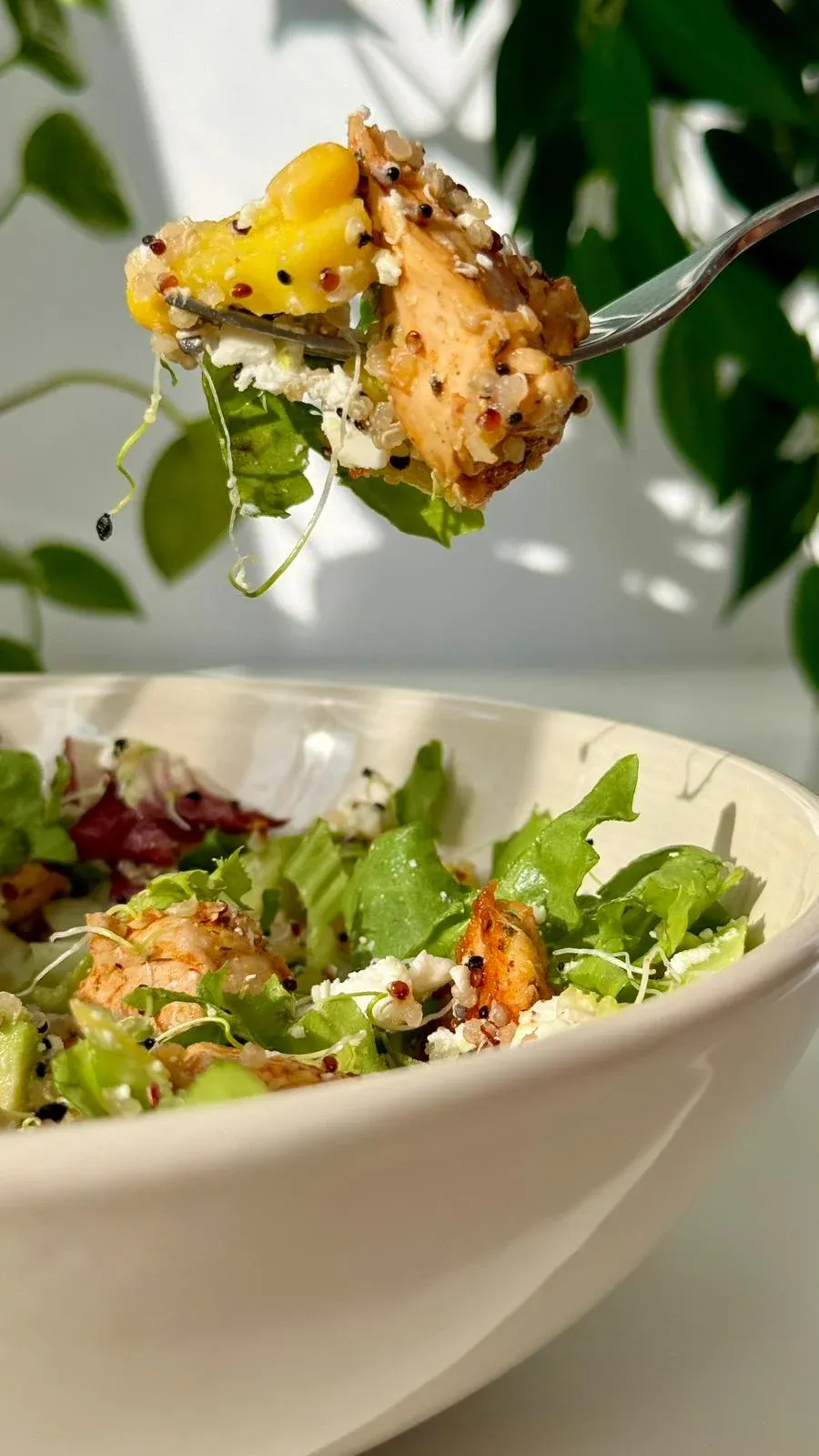 Turkey-quinoa-bowl2.webp